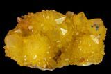 Sunshine Cactus Quartz Crystal Cluster - South Africa #132882-1